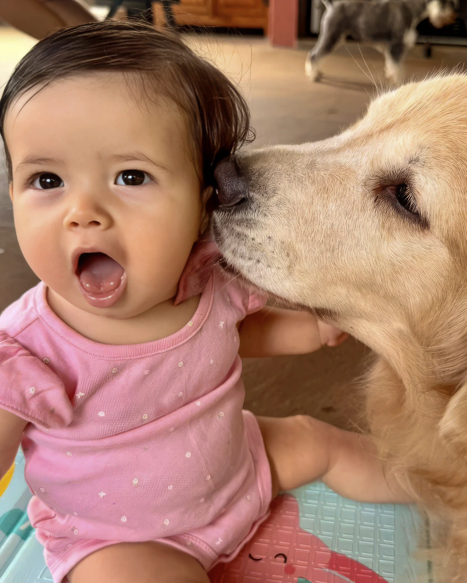 Elis bebê recebendo um beijo da Love