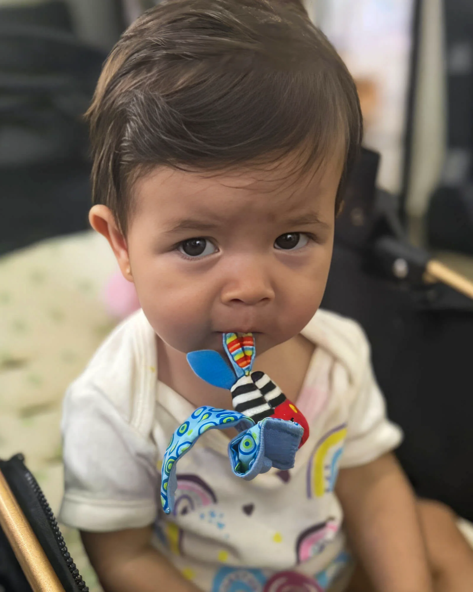 Elis bebê levando um objeto à boca